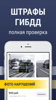 Проверка штрафов ГИБДД, оплата iphone screenshot 1