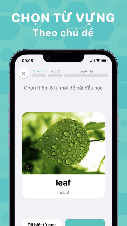 #4. Bloom: Học Tiếng Anh & Từ Vựng (iOS) 由: Dang Nguyen