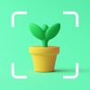 PlantCam：植物、花を識別する