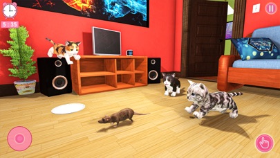 Cat Simulator 2023:Pet Games Screenshot