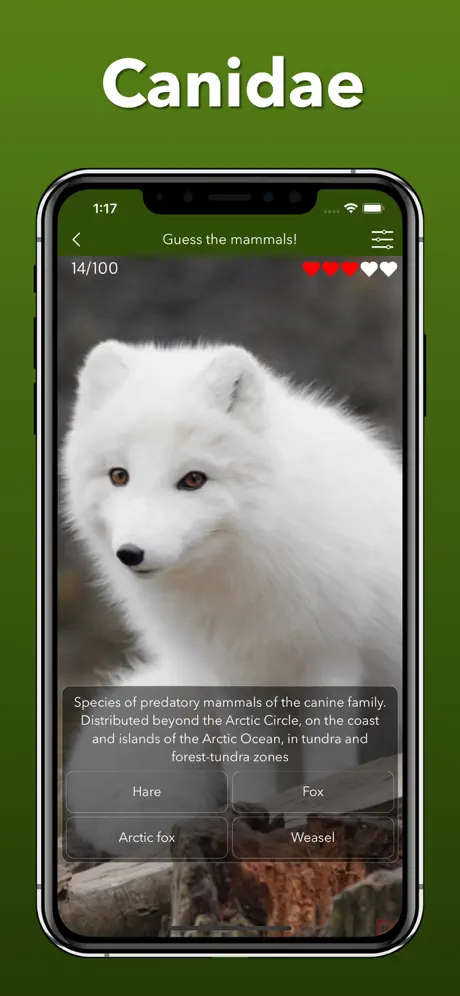 Animals - Educational Games