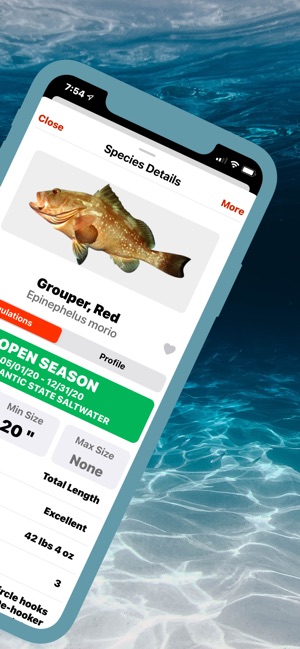 FishVerify: ID & Regulations on the App Store