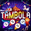 Tambola Housie - 90 Big Balls icon