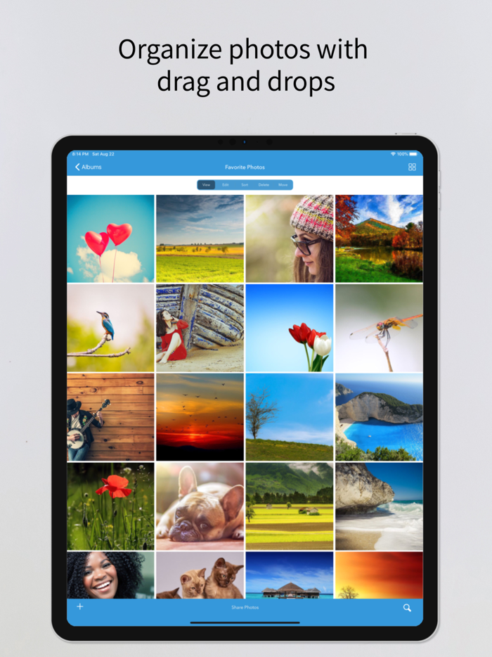 Photo Album Cloud Vault