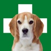 Erste Hilfe Hund icon