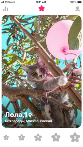 Game screenshot Petsvote apk
