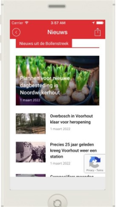 BO - Bollenstreekomroep Screenshot