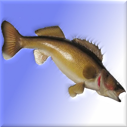 iGoFishing icon