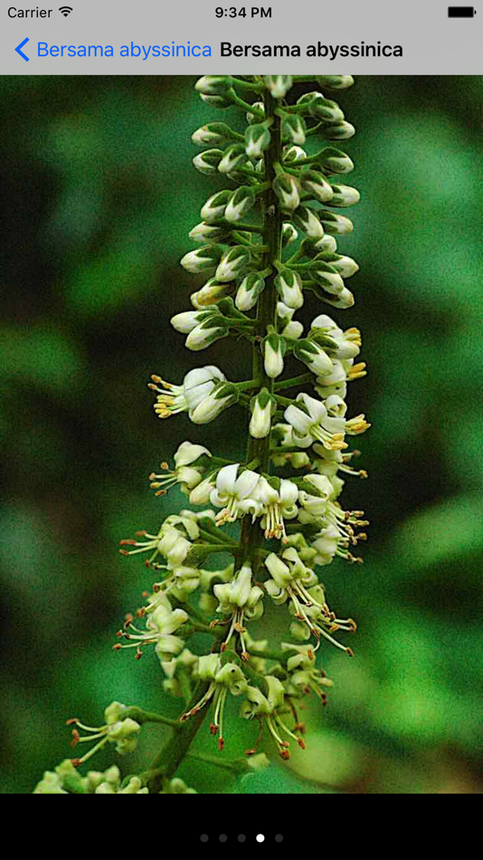 #5. Useful Trees of East Africa (iOS) 由: Staf Lemmens