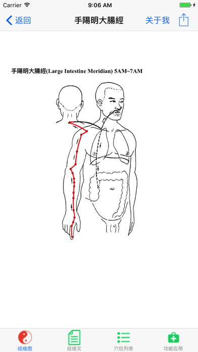 中医经络穴位注流和人体工作表のおすすめ画像2