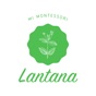 MI Lantana app download