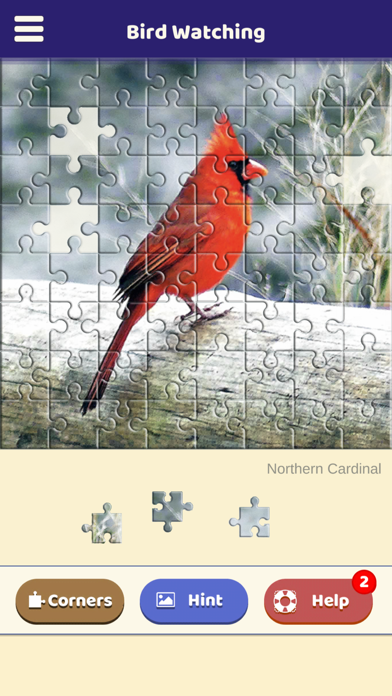 Bird Watching Puzzle Screenshot