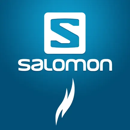 Salomon Custom Heat Connect Cheats