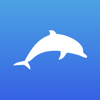 Dolphin - Agostini's Innovation Lab