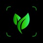 Plant Pic Identifier app download