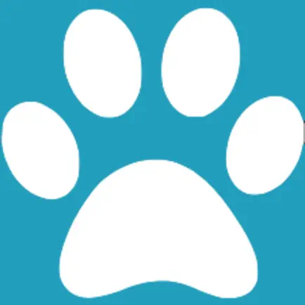 PawNotes Cheats