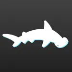 Hammerhead Rhythm Station App Alternatives