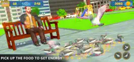 Game screenshot Pigeon Bird Simulator apk