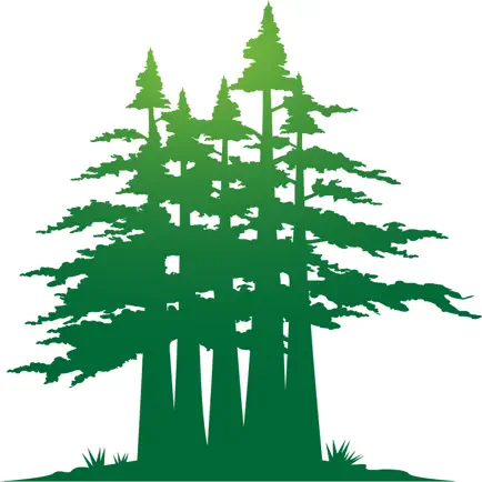 Susanville School District Cheats