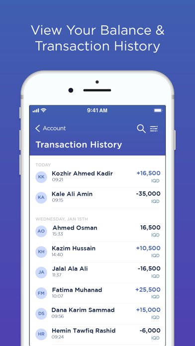 First Iraqi Bank for Corporate Screenshot