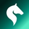 Horsefy was developed with the aim of making life easier for horse owners and riders