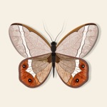 Download Insect Bugs Stickers app