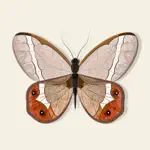 Insect Bugs Stickers App Alternatives