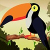 Color Puzzle Sort Bird Game icon