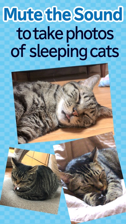 toruneko (KittyCam) screenshot-3