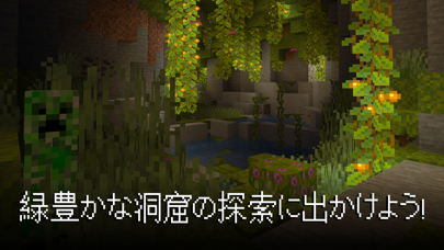 screenshot of Minecraft 7
