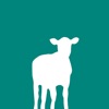 Feedlot Atlas icon