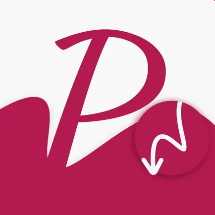 PinSaver Save Pinterest Video Cheats