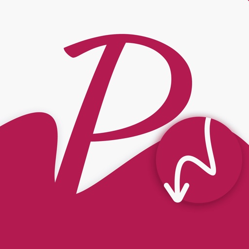 PinSaver Save Pinterest Video iOS App