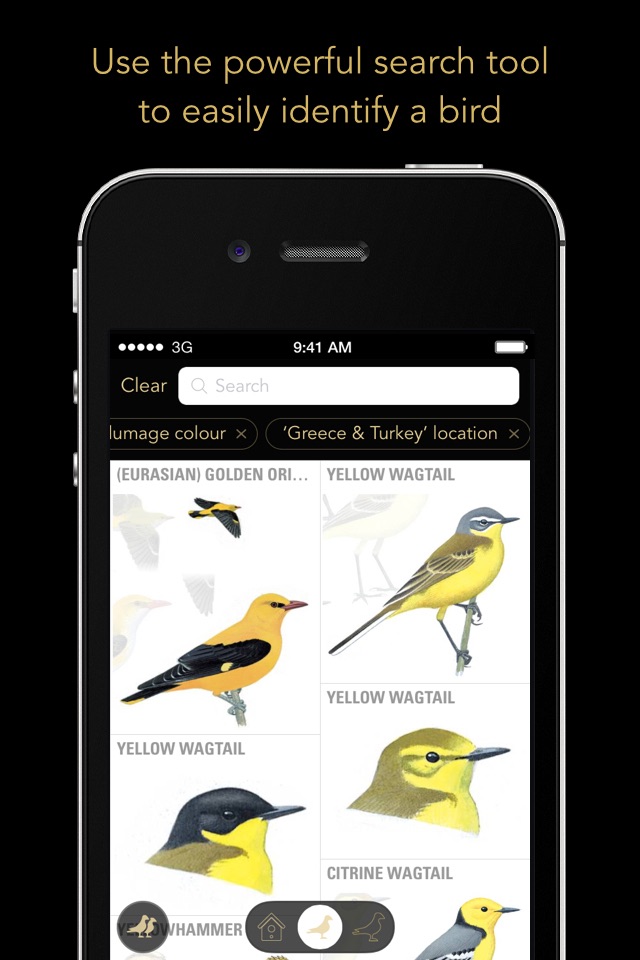 Collins Bird Guide screenshot 3