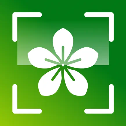 Plant Identifier + Cheats