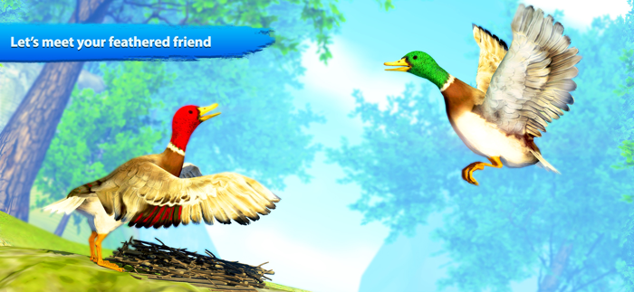 Flying duck family simulator