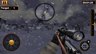 Bird Hunting : Shooting Games Screenshot