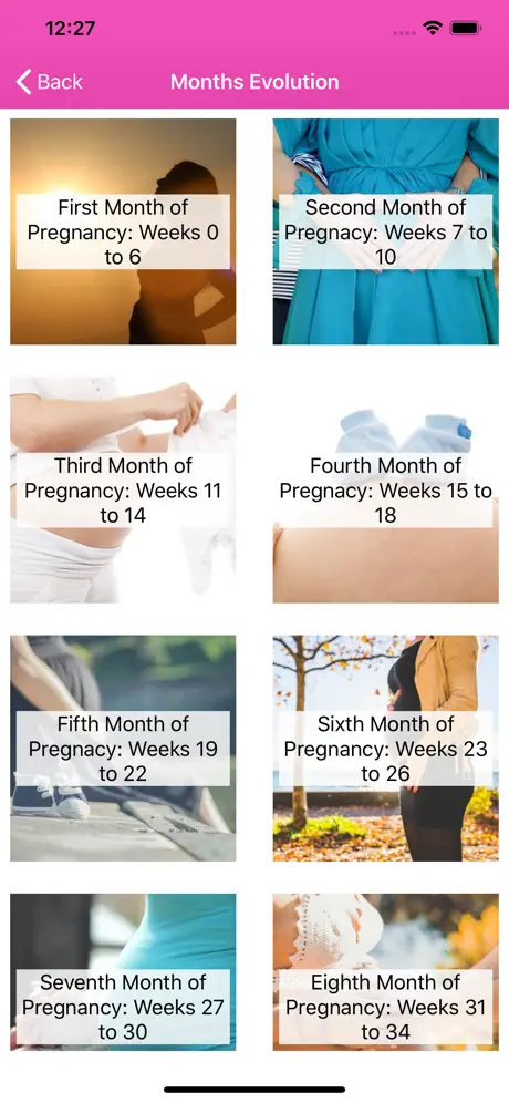 Pregnancy Calculator Calendar