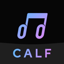 CalfVR - VR Video Player