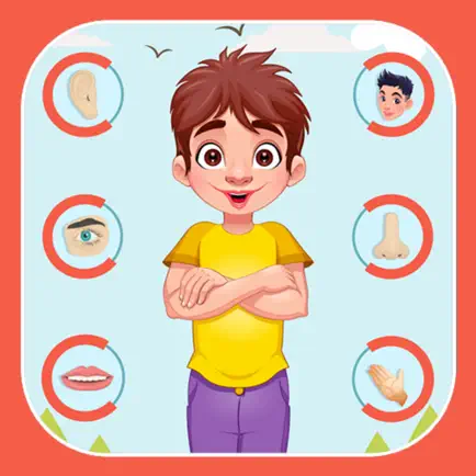 Human Body Parts Learning Book Cheats