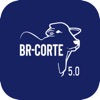 BR-Corte 5.0 icon
