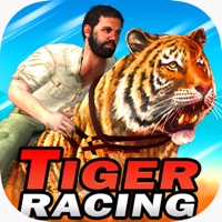 Tiger Racing : Simulator Race