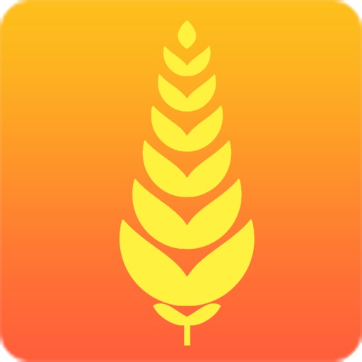 iBrewer icon