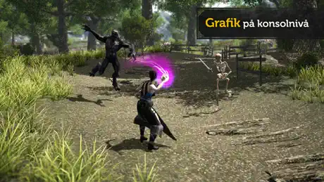 Evil Lands: MMO RPG