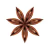 Star Anise Ashbourne contact information