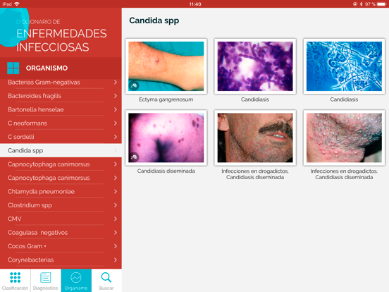 Screenshot #6 pour Dicc. Enfermedades infecciosas