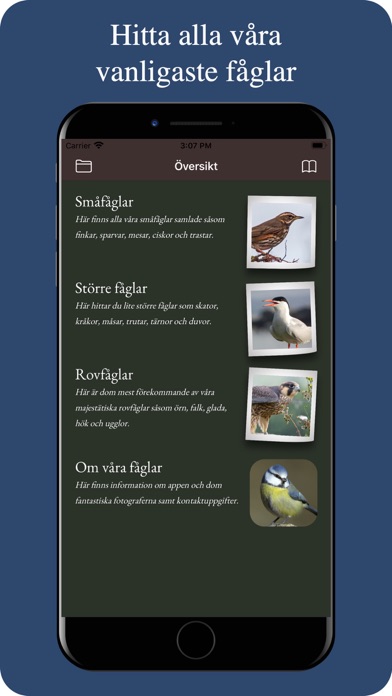Våra fåglar Screenshot