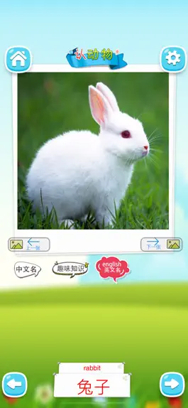 Game screenshot 认动物 -看图识字学说话 apk
