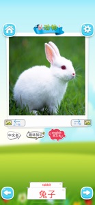 认动物 -看图识字学说话 screenshot #2 for iPhone