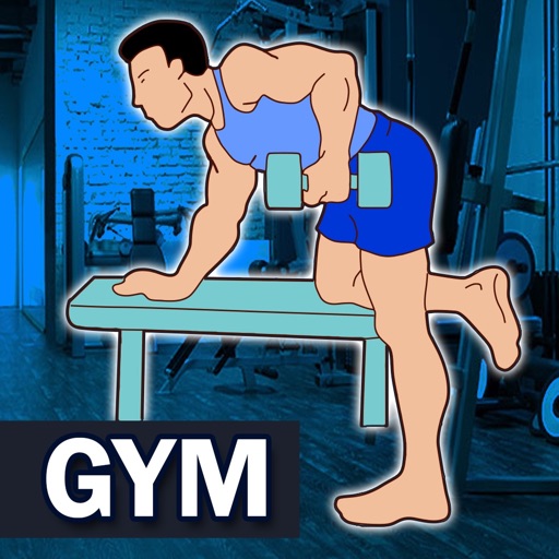 Gym Workout Daily Exercises icon